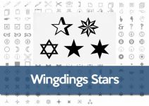 Wingdings star symbol